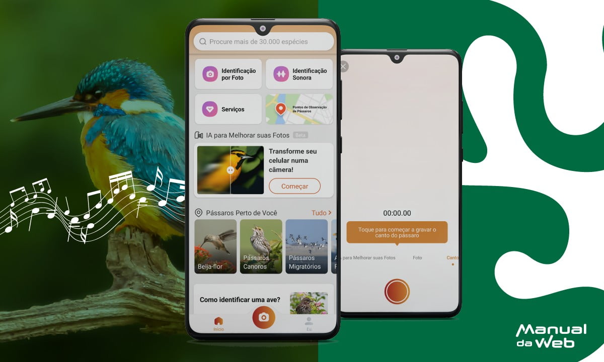 Aves cantoras reveladas identificador de canto de passaros Prancheta 1