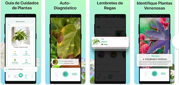 Aplicativo PictureThis: descubra os dados de qualquer planta 3 PictureThis