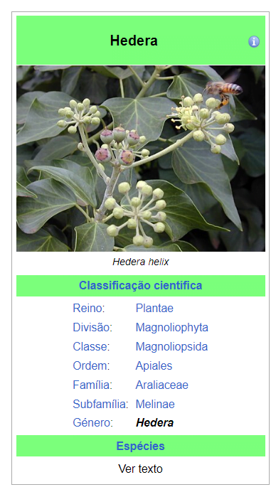 Planta Hera
