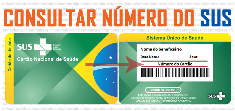 Aplicativo Conecte SUS - Emita sua carteira de vacinação digital 2 Aplicativo Conecte SUS