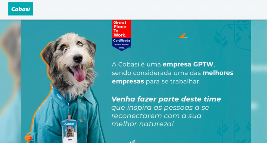 Cobasi trabalhe conosco 2024: vagas, salário, inscrições mais 2 Cobasi trabalhe conosco