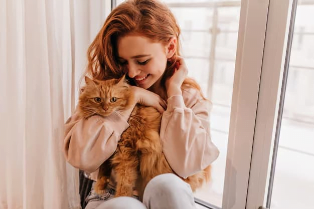 Tradutor humano para gato