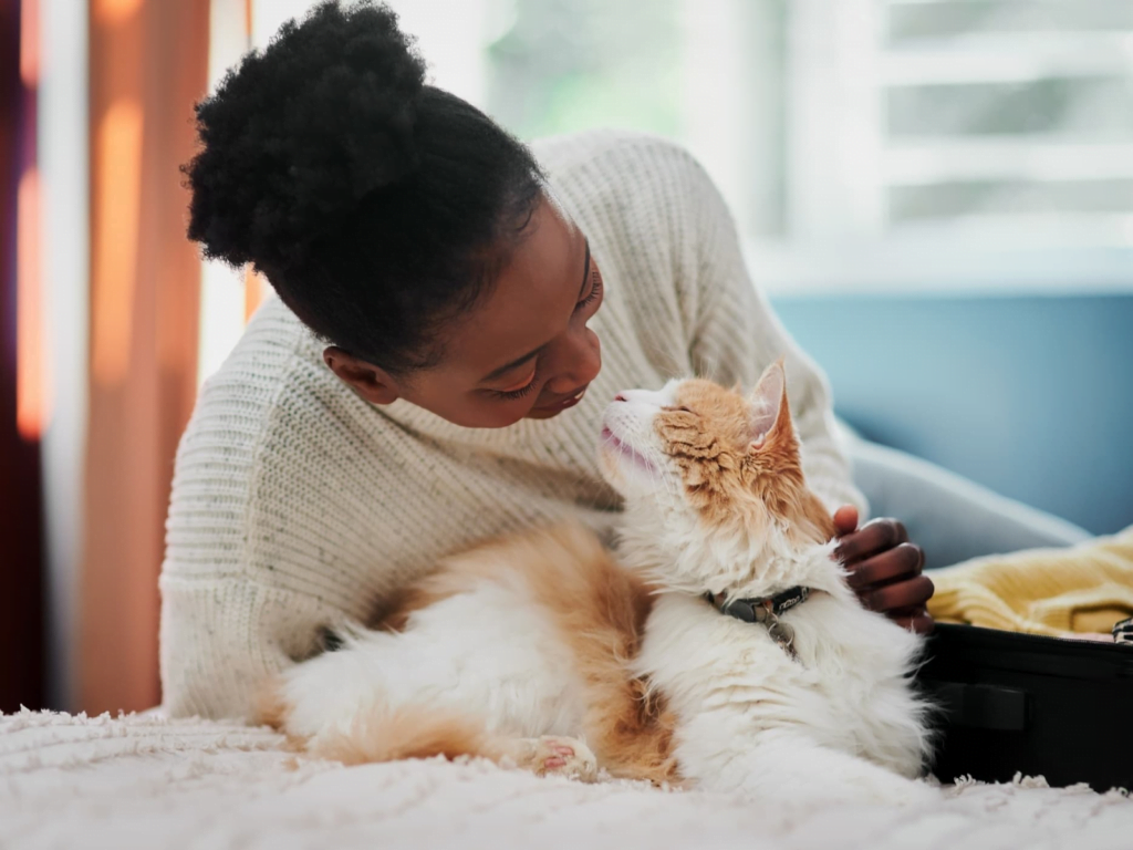 Tradutor humano para gato