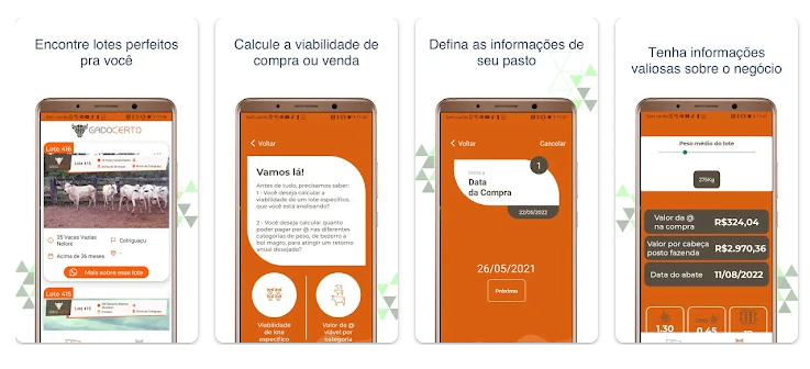 Aplicativo Gado Certo - Compre lotes de gado pelo celular 2 Comprar gado pelo celular
