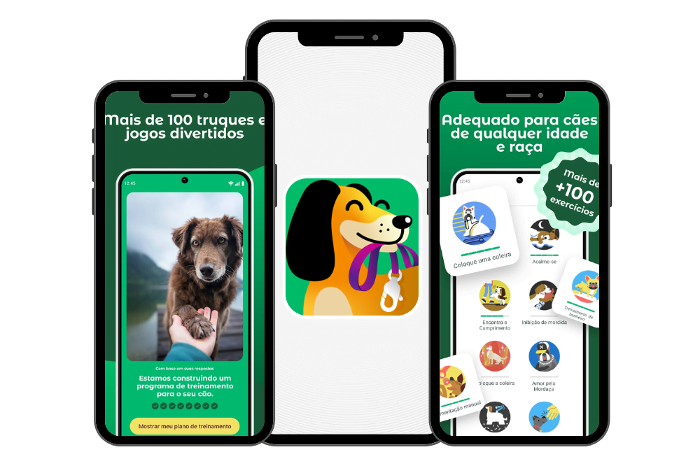 Aplicativo com mais de 100 truques para ensinar para seu cachorro (com passo a passo) 2 image 44