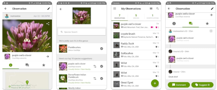 Aplicativo para identificar plantas 