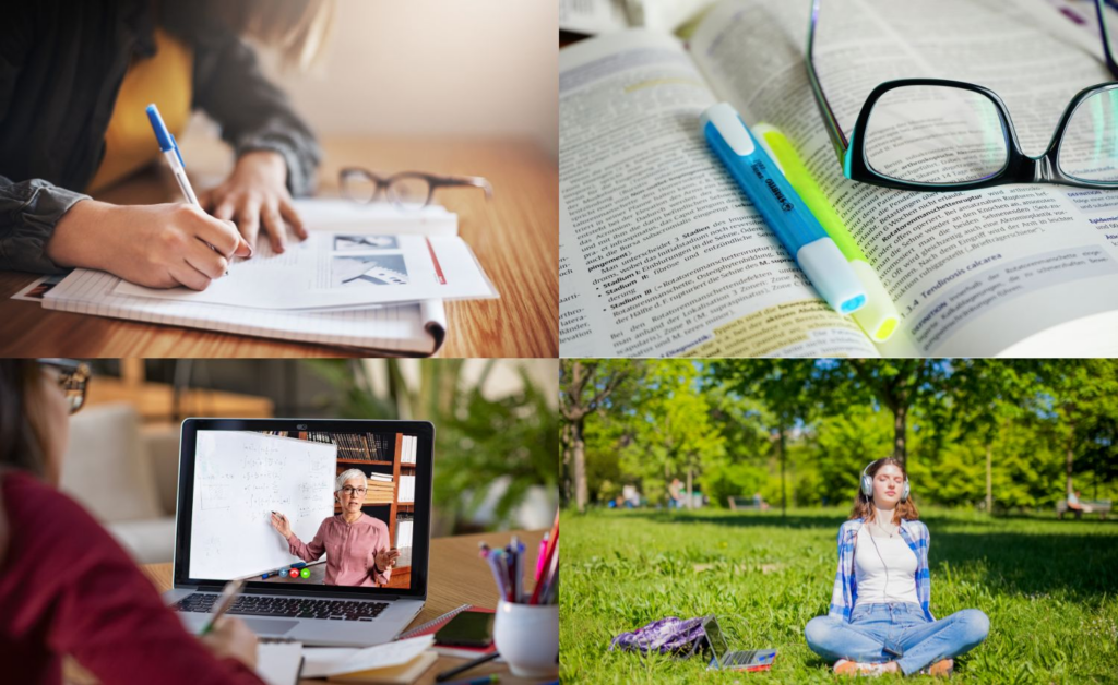 Estudar para concursos
