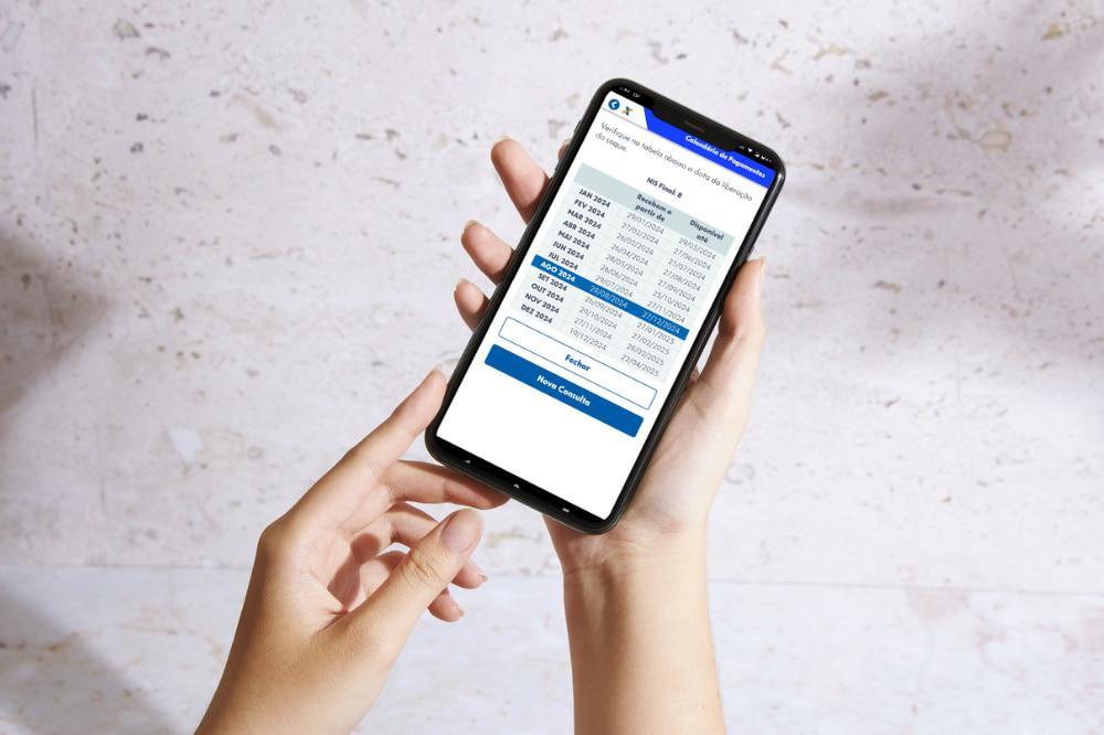 Consulta do Vale Gás pelo NIS: como fazer pelo celular 3 Consulta do Vale Gás pelo NIS