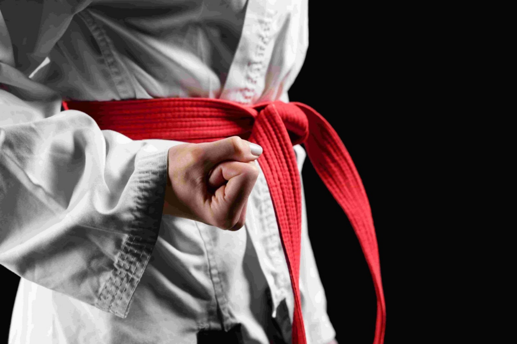 App de treinamento e exercícios de artes marciais online 100% grátis 4 Exercícios de artes marciais