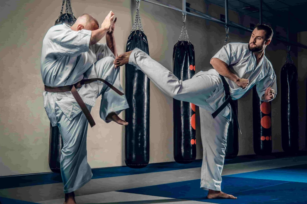 App de treinamento e exercícios de artes marciais online 100% grátis 3 Exercícios de artes marciais