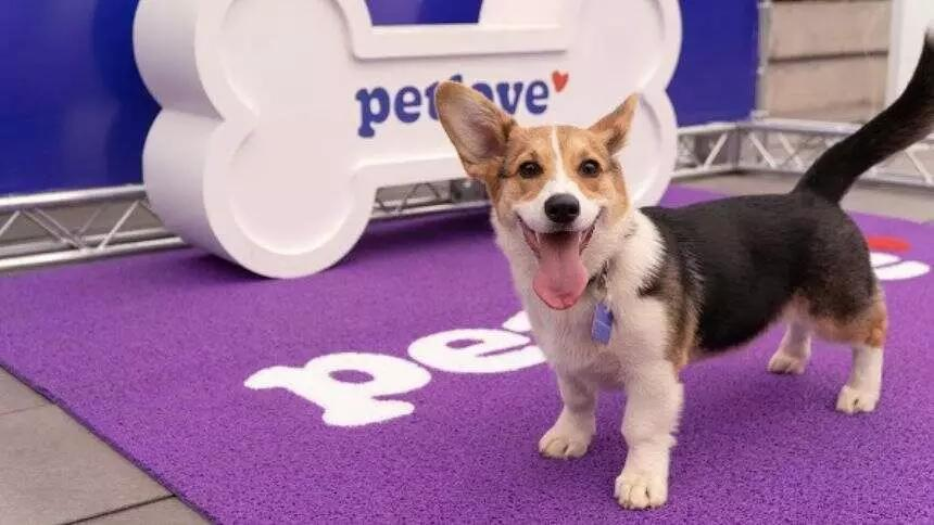 Franquia Petlove: como se tornar um franqueado no Brasil 3 Franquia Petlove