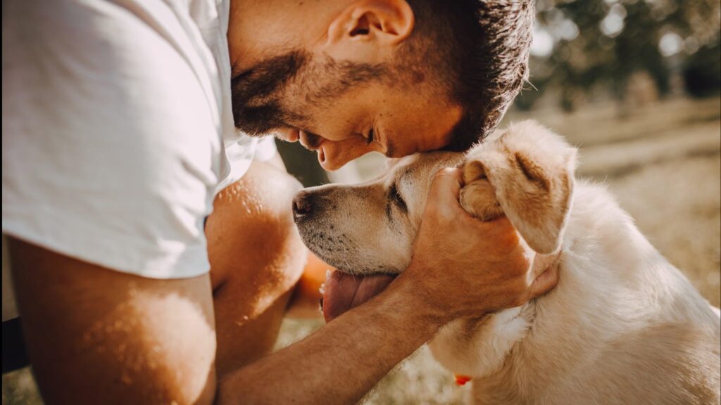 Aplicativo 100% gratuito para procurar cachorro desaparecido 2 Procurar cachorro desaparecido