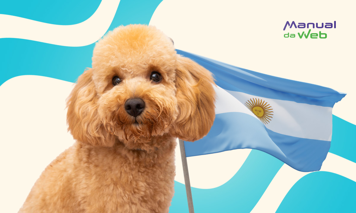 CVI Argentina