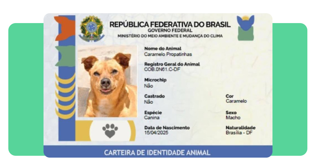 Programa SinPatinhas: como criar o RG do seu pet gratuitamente 2 Programa SinPatinhas