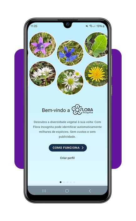 Identifique plantas com a câmera do celular com este app 3 Identifique plantas com a câmera