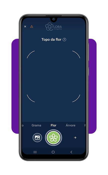 Identifique plantas com a câmera do celular com este app 5 Identifique plantas com a câmera