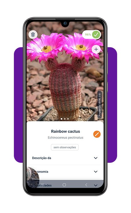 Identifique plantas com a câmera do celular com este app 7 Identifique plantas com a câmera