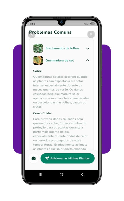 Cuidar de plantas em casa