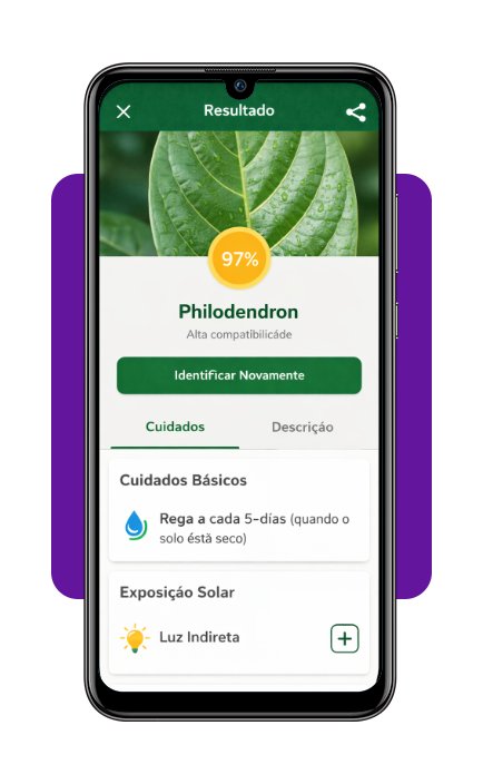 Reconhecer plantas