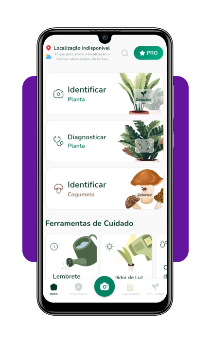 Melhor aplicativo para cuidar de plantas da horta em casa 3 IMG 5128 02