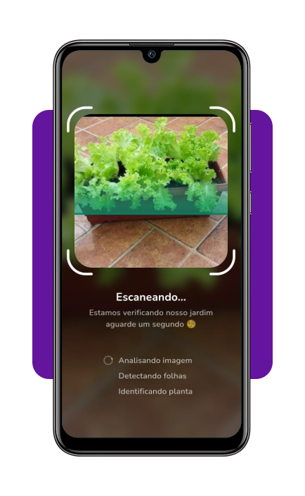 Melhor aplicativo para cuidar de plantas da horta em casa 5 IMG 5128 04