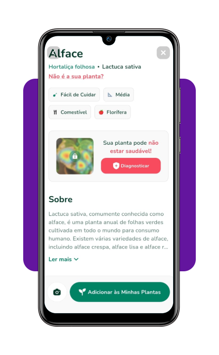 Melhor aplicativo para cuidar de plantas da horta em casa 6 IMG 5128 05